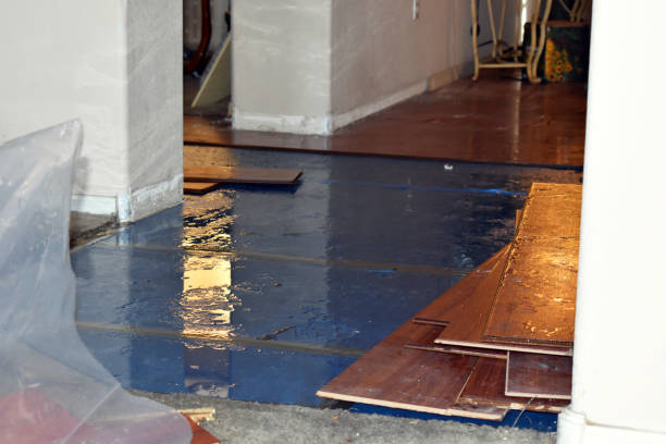 Professional Burst Pipe Cleanup technician working in North Springfield, VA